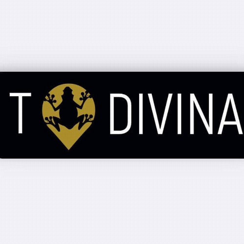 Logo T-Divina